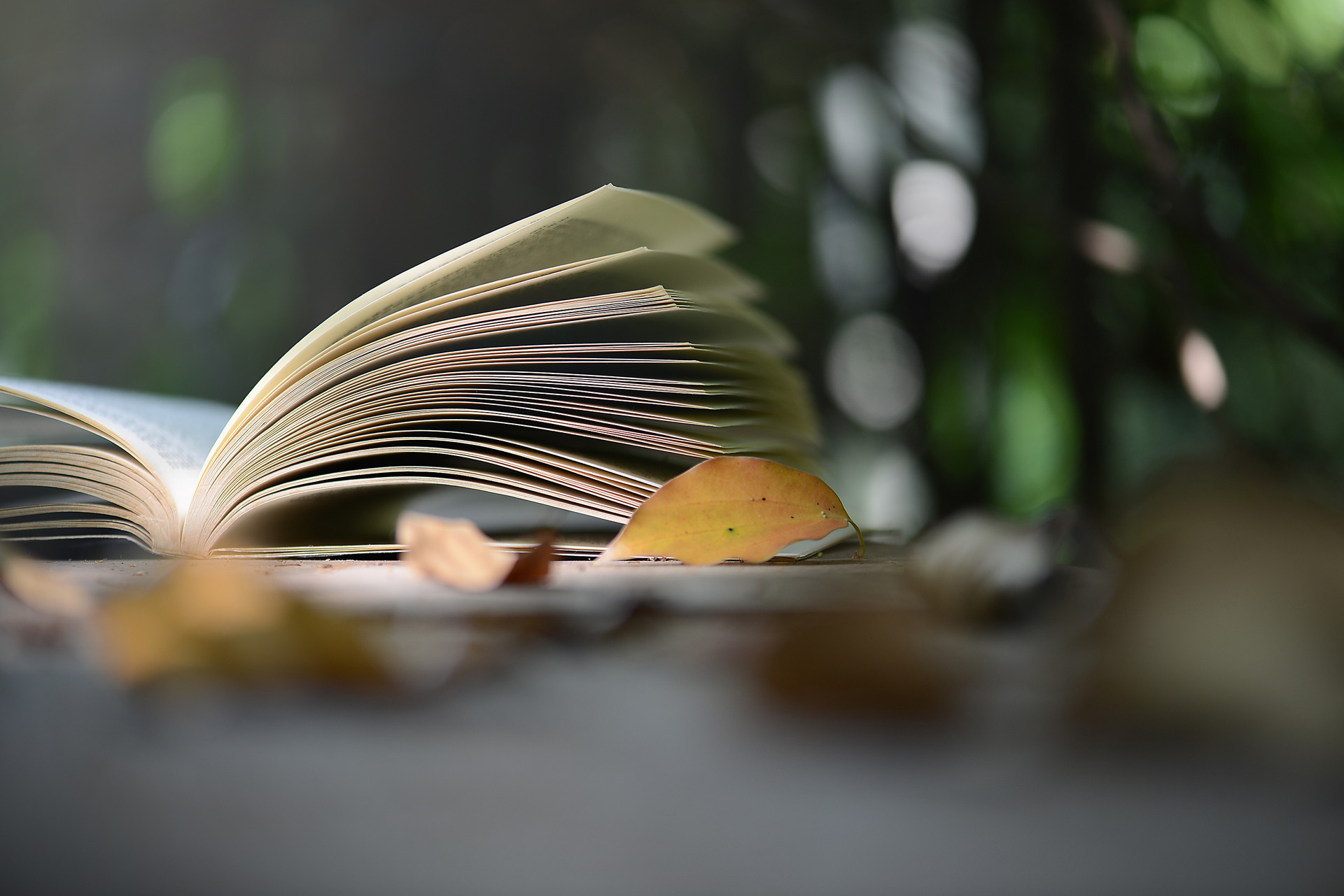 托福阅读题型解析!