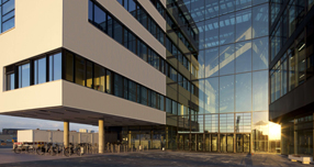 雅思小作文如何提高图表描述的准确性？